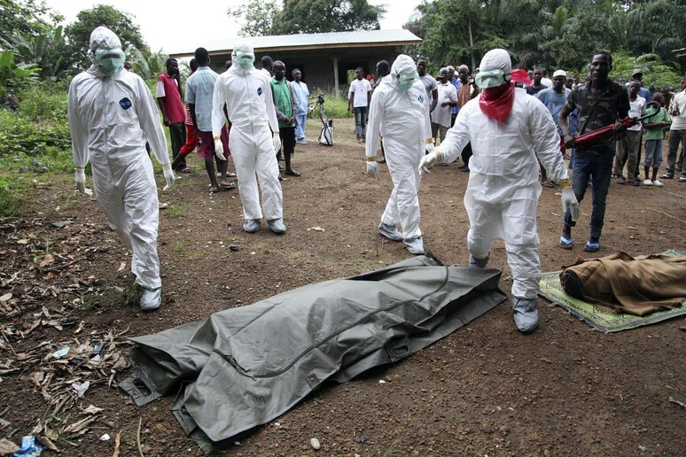 Ebola: ultimo bilancio Oms, superata soglia 1000 morti © ANSA/EPA