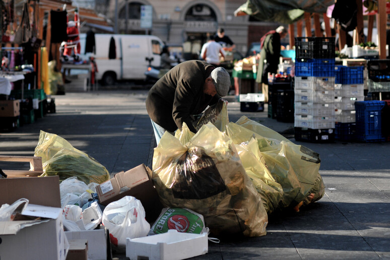 Un anziano fruga tra i  rifiuti del mercato a Roma - RIPRODUZIONE RISERVATA