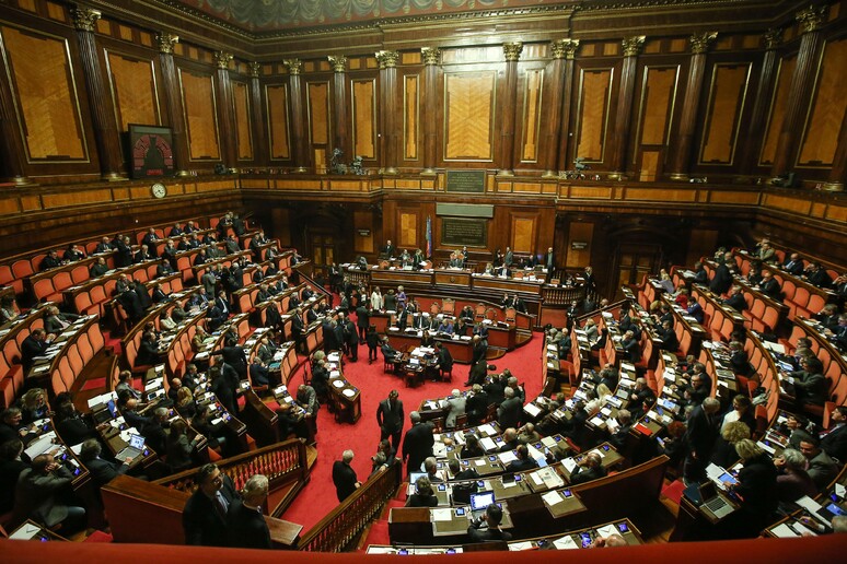 L 'Aula del Senato in una recente immagine - RIPRODUZIONE RISERVATA
