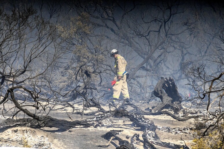 Incendi in Australia, bruciato Cheltenham Park © ANSA/EPA