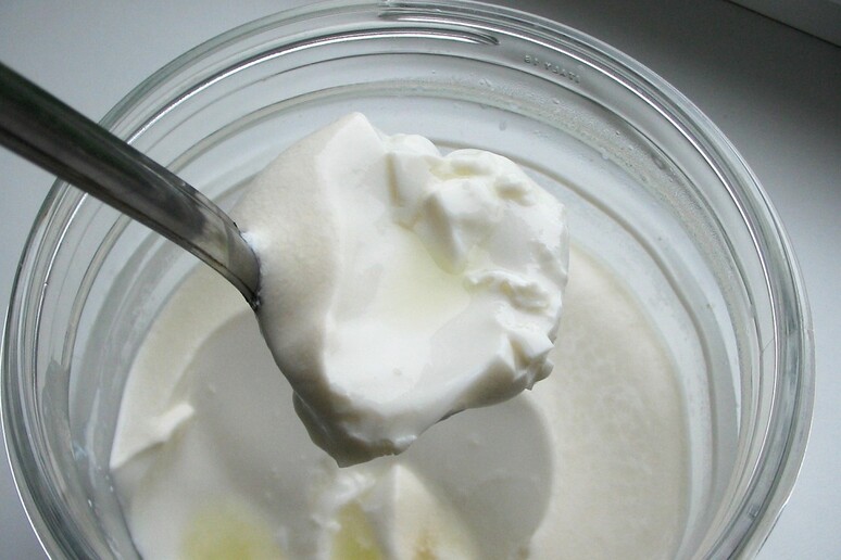 Gli scarti di produzione dello yogurt diventano biocarburante (fonte: Kagor) - RIPRODUZIONE RISERVATA