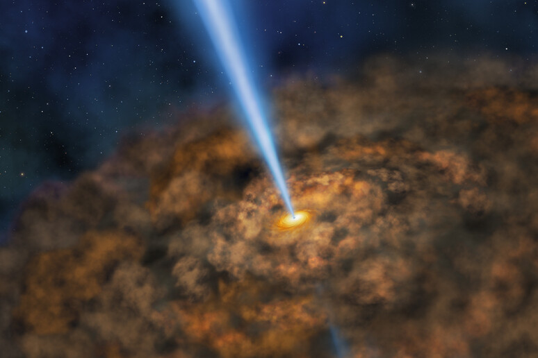 Rappresentazione artistica di un buco nero avvolto da polveri cosmiche (NASA/SOFIA/Lynette Cook) - RIPRODUZIONE RISERVATA