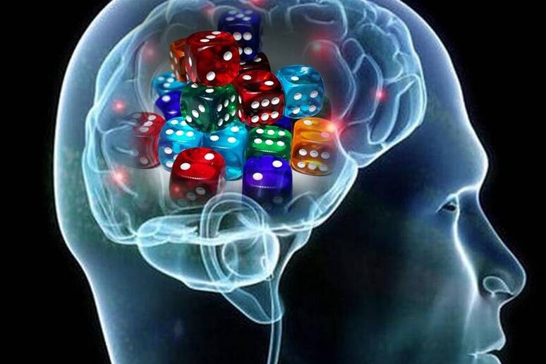 Individuata l 'area del cervello legata alle scelte più immediate e meno razionali, come quelle legate al gioco d 'azzardo (fonte: l 'immagine della testa è di Allan Ajifo) - RIPRODUZIONE RISERVATA