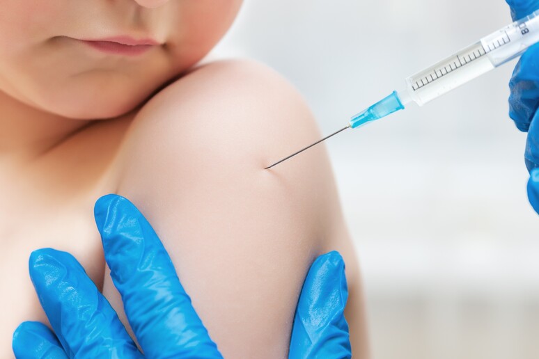 Vaccini, studio sfata la bufala secondo cui rovinano il sistema immunitario - RIPRODUZIONE RISERVATA