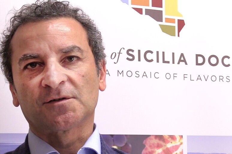 Maurizio Lunetta, direttore del Consorzio di Tutela vini Doc Sicilia - RIPRODUZIONE RISERVATA