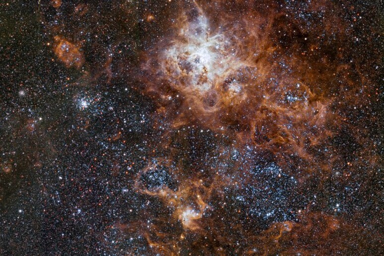 La Nebulosa Tarantola, distante 160.000 anni luce, è la più brillante della Grande Nube di Magellano, la vicina di casa della Via Lattea (fonte: ESO) - RIPRODUZIONE RISERVATA