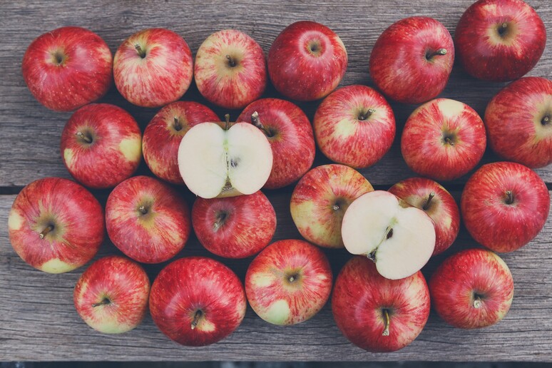 Una immagine delle mele, fra i frutti piu ' salutari - RIPRODUZIONE RISERVATA
