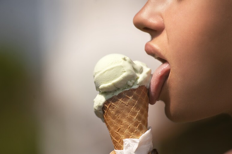 Se un cibo piace più di tanti altri, la ragione sta anche nella della saliva: le sue proteine influenzano infatti la percezione del gusto e le preferenze alimentari.  (Fonte: Pixabay) - RIPRODUZIONE RISERVATA