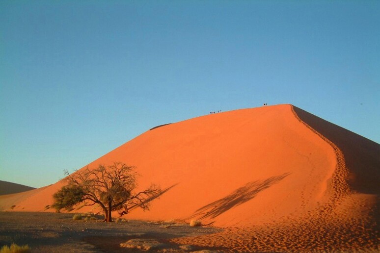 Dune nel deserto della Namibia - RIPRODUZIONE RISERVATA