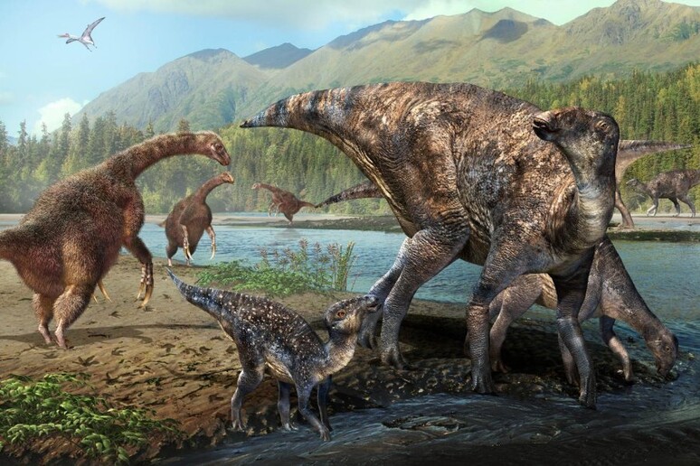 Adrosauri e terizinosauri sull 'autostrada che nel tardo Cretaceo collegava l 'Asia col Nord America (fonte: Masato Hattori) - RIPRODUZIONE RISERVATA