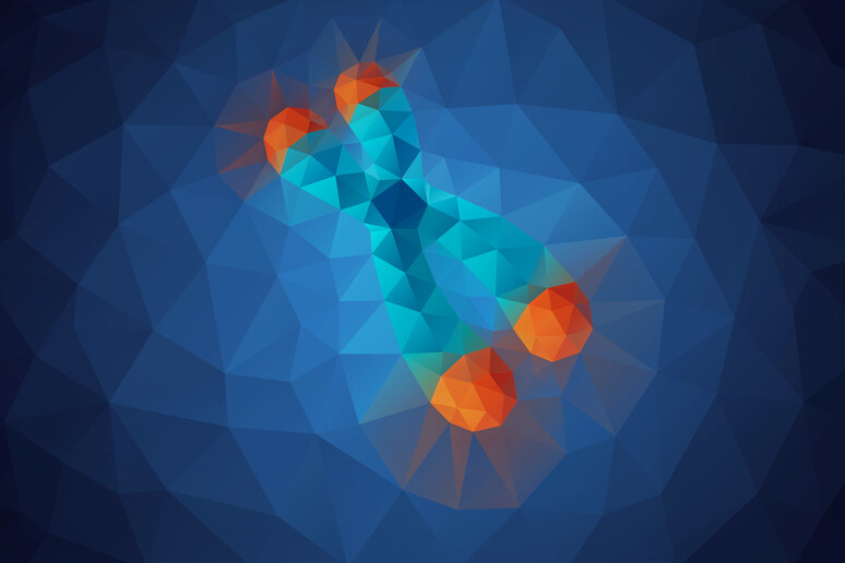 In arancione sono evidenziati i telomeri, le estremità dei cromosomi che scandiscono l 'invecchiamento (fonte: Genome Research Limited) - RIPRODUZIONE RISERVATA