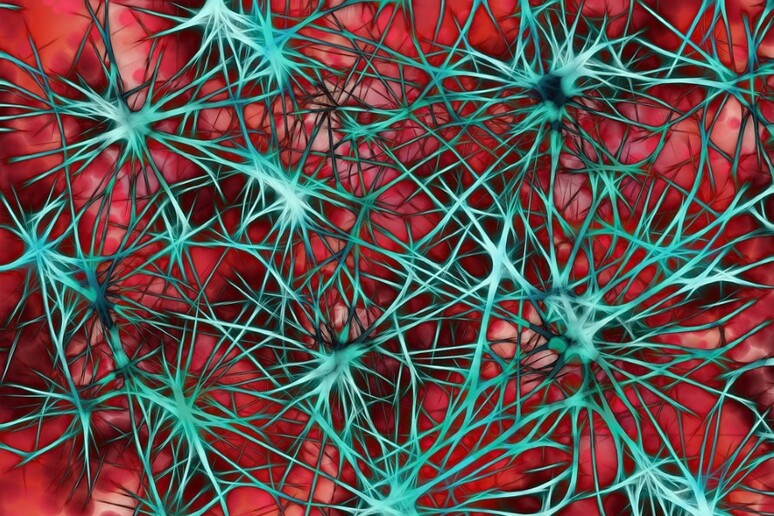 Raffigurazione di una rete di fibre nervose collegate da sinapsi. Due studi dimostrano che l’attività delle sinapsi è legata al sonno. (fonte: Pixabay) - RIPRODUZIONE RISERVATA