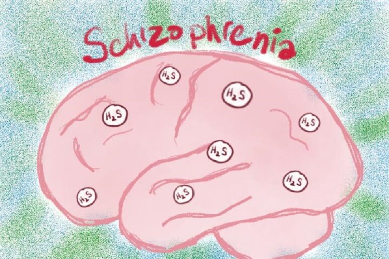 Rappresentazione grafica del rilascio nel cervello di idrogeno solforato, particolarmente elevata in chi soffre di schizofrenia (fonte: RIKEN) - RIPRODUZIONE RISERVATA