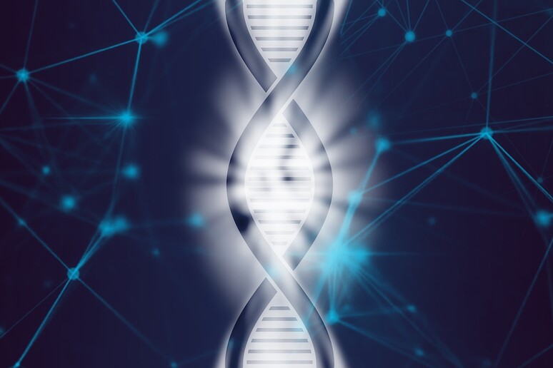 La terapia genica multipla combatte più malattie legate all 'invecchiamento (fonte: Pixabay) - RIPRODUZIONE RISERVATA