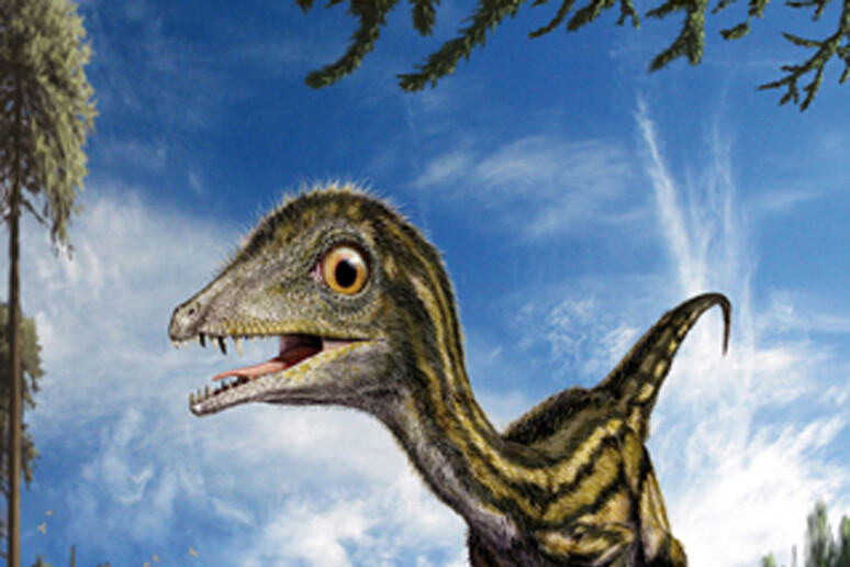 Il baby dinosauro Ciro (fonte: Museo di Storia Naturale di Milano) - RIPRODUZIONE RISERVATA