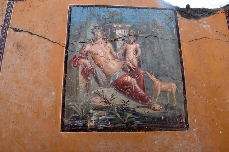 Pompei, dopo Leda affiora Narciso - RIPRODUZIONE RISERVATA