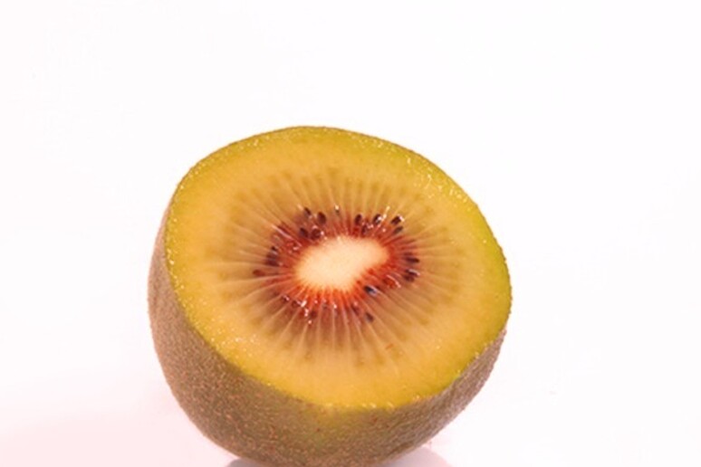 Il kiwi rosso, Oriental Red - Red Kiwifruit di Jingold (fonte: www.fruitlogistica.com) - RIPRODUZIONE RISERVATA