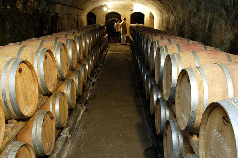 Vino: Mipaaf, via libera alla distillazione di crisi - RIPRODUZIONE RISERVATA