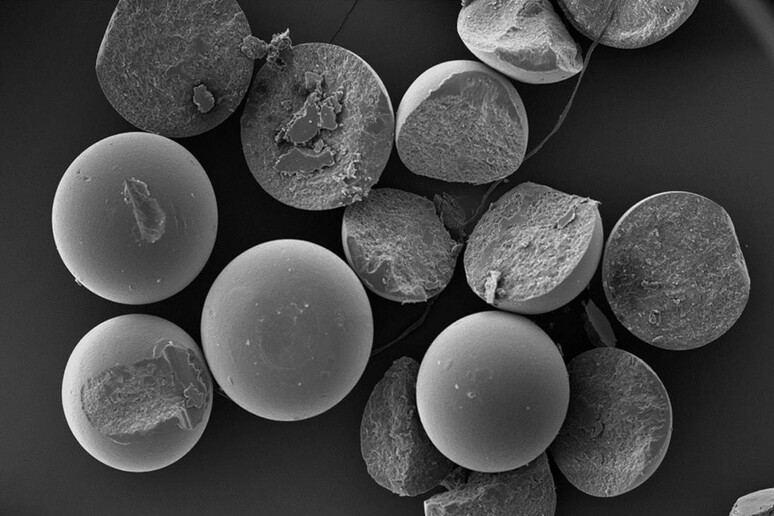 Particelle di microplastica (fonte: Adil Bakir e Richard Thompson/ Plymouth University, United Kingdom) - RIPRODUZIONE RISERVATA
