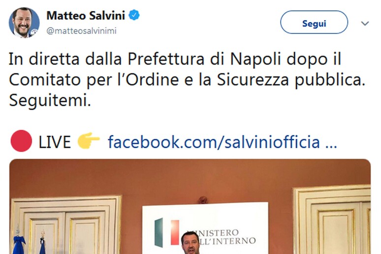 Twitter Salvini - RIPRODUZIONE RISERVATA