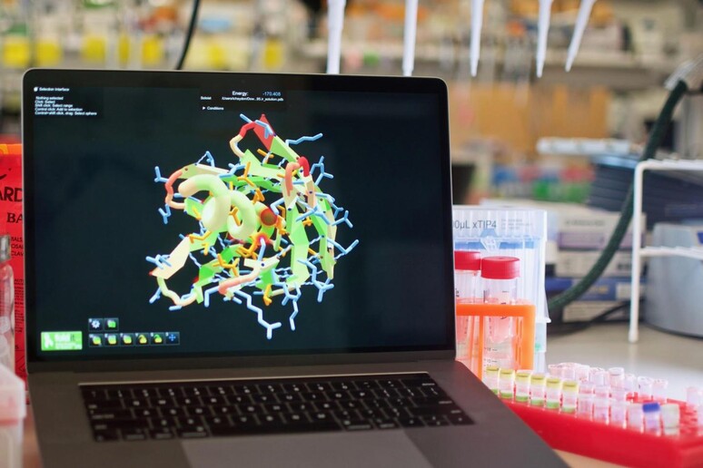 Il videogioco Foldit permette di progettare proteine dal pc di casa (fonte: Institute for Protein Design/UW Medicine) - RIPRODUZIONE RISERVATA