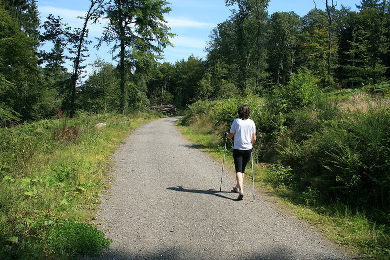 Nordic Walking (fonte: Ft-nrw, Wikipedia) - RIPRODUZIONE RISERVATA