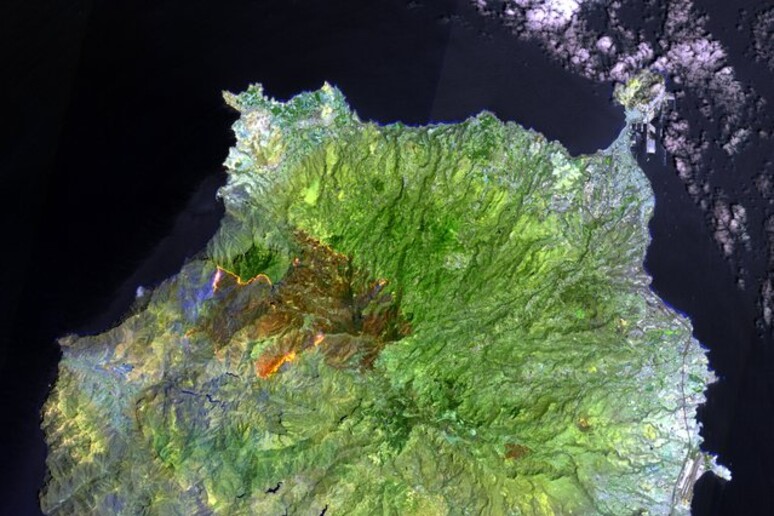 L 'incendio nell 'isola Gran Canaria fotografato dal satellite Sentinel 2, del programma europeo Copernicus (fonte: dai modificati Copernicus Sentinel  (2019) processati dall ' ESA, CC BY-SA 3.0 IGO) - RIPRODUZIONE RISERVATA