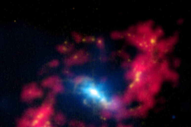 La regione centrale della galassia attiva Ngc 4151, dove si trova un gigantesco buco nero (fonte: X-ray: Nasa/Cxc/CfA/J.Wang et al.; Optical: Isaac Newton Group of Telescopes, La Palma/Jacobus Kapteyn Telescope, Radio: Nsf/Nrao/Vla) - RIPRODUZIONE RISERVATA