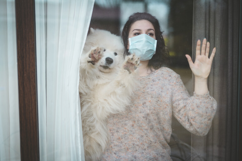 La convivenza con gli animali, anche durante la pandemia del coronavirus è fonte di benessere foto iStock. - RIPRODUZIONE RISERVATA