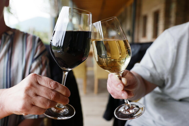 Vinitaly-Nomisma, riapertura horeca per il vino vale 6,5 miliardi © ANSA/EPA