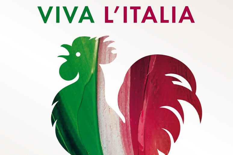 Il gallo del vino Chianti classico in tricolore - RIPRODUZIONE RISERVATA