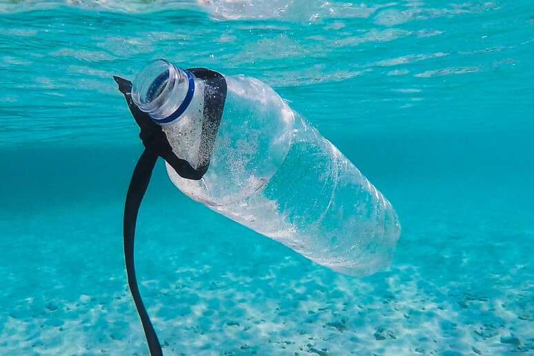 La plastica inquinante nel mare foto Culligan - RIPRODUZIONE RISERVATA