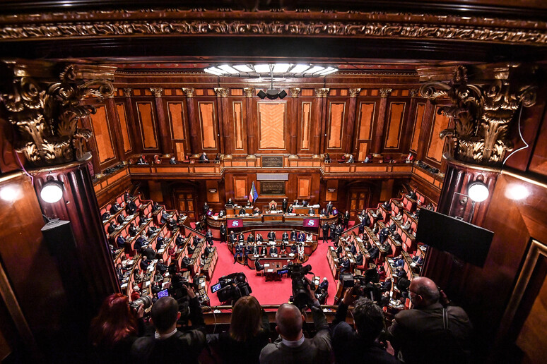 L 'Aula del Senato © ANSA/ANSA/ALESSANDRO DI MEO