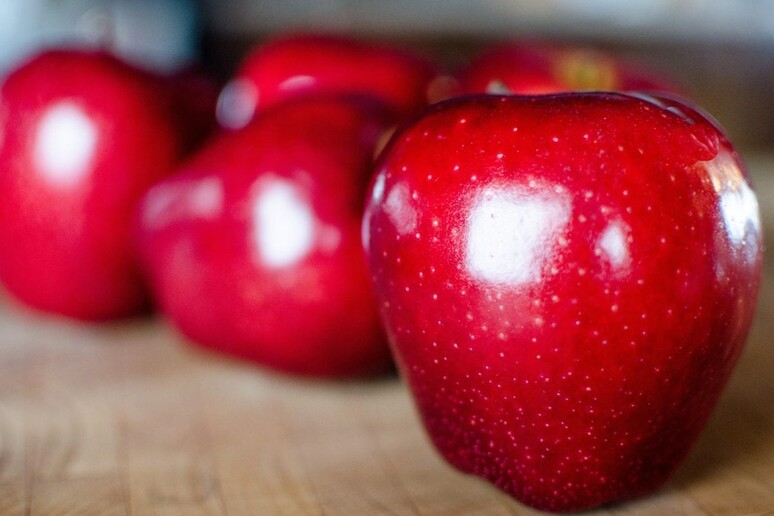 La forma delle mele spiegata dalla matematica (fonte: Pixnio) - RIPRODUZIONE RISERVATA