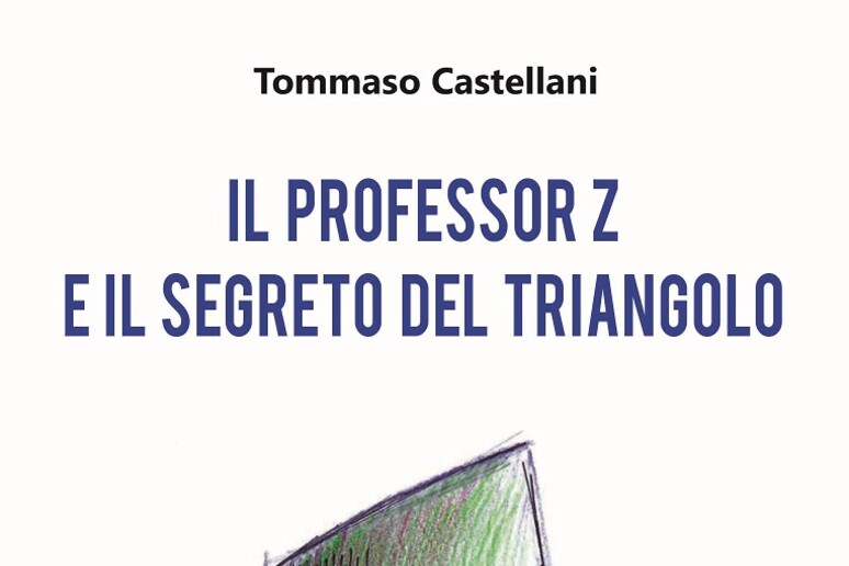 'Il professore Z e il segreto del triangolo ' di Tommaso Castellani (edizioni Dedalo, 192 pagine, 16,50 euro) - RIPRODUZIONE RISERVATA