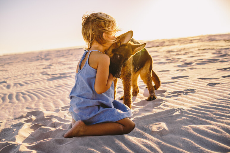 Una bambina in spiaggia abbraccia il suo cucciolo di cane foto iStock. - RIPRODUZIONE RISERVATA