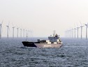 Continua a far discutere l'impatto dell'eolico offshore su altre attività (ANSA)