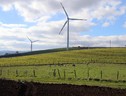Le Ong chiedono una Ue 100% rinnovabili entro il 2040 (ANSA)