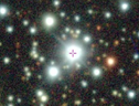 Nel mirino l'oggetto TIC 400799224 (fonte: Powell et al., The Astronomical Journal, 2021) (ANSA)