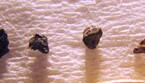 Frammenti della roccia Ipazia (fonte: Università di Johannesburg) (ANSA)