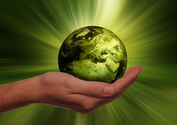 Il 2022 anno ricerca di base per lo sviluppo sostenibile (Fonte: Geralt, Pixabay) © Ansa