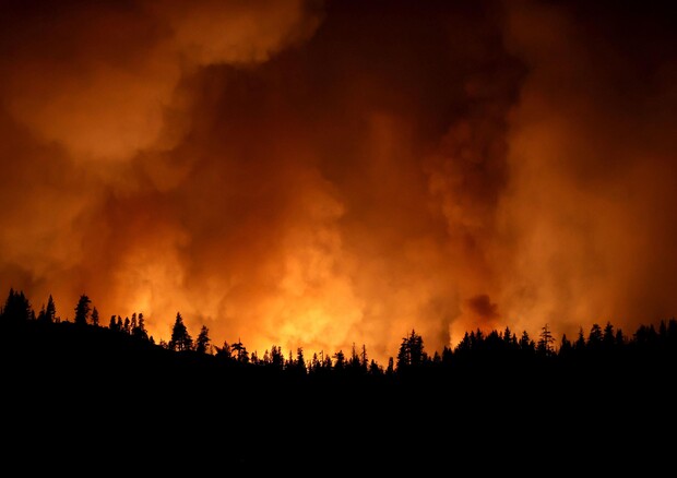 Clima incide sugli incendi, a rischio Europa e Mediterraneo © AFP