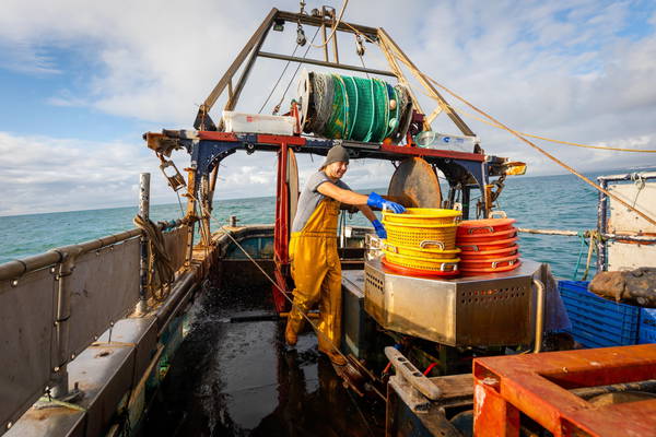 Recovery: Alleanza pesca, rilancio passa dalla filiera blu
