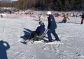 I poliziotti della scuola alpina di Moena sciano con i ragazzi portatori di disabilita'