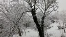 Maltempo, copiosa nevicata a Jenne (ANSA)