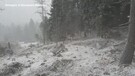 Trentino, crollano le temperature e ritorna la neve anche a quote medie(ANSA)