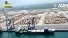 Sequestro record di 3 tonnellate cocaina purissima nel porto di Gioia Tauro (ANSA)
