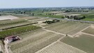 Emilia-Romagna, i campi ricoperti dal fango a Faenza visti dal drone (ANSA)