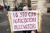 Nuova protesta degli agricoltori all'Eurocamera a Strasburgo (ANSA)