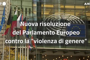 Studio Eurocamera, in Europa 33% delle donne vittima si violenza di genere (ANSA)